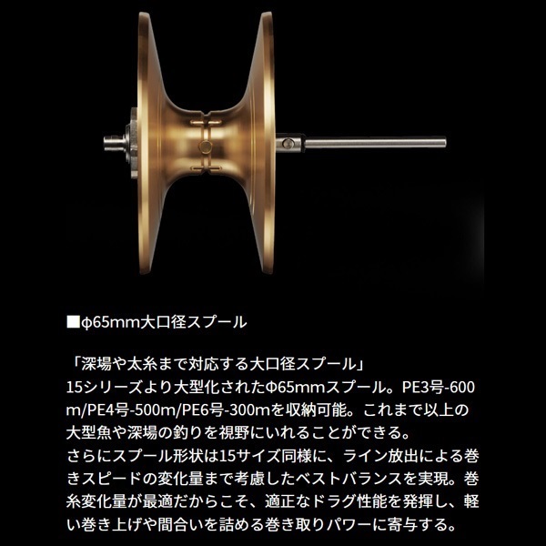 25ソルティガ